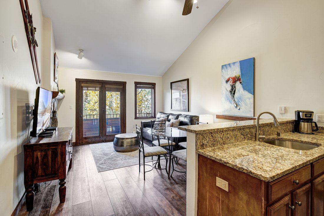 Condo in Dillon, Colorado, United States 3 - 16481533