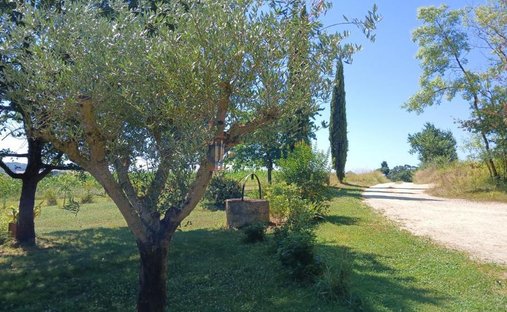 The Aristocratic Chateau Of Beechwood