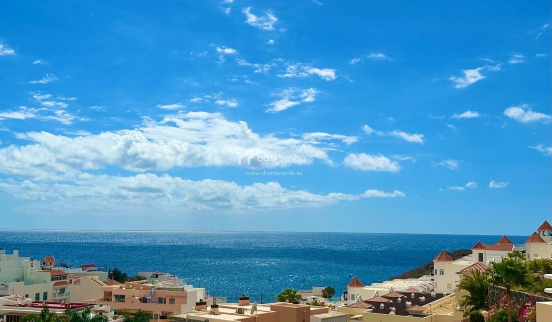 Apartment in La Caleta, Adeje, Canary Islands 1 - 16481726