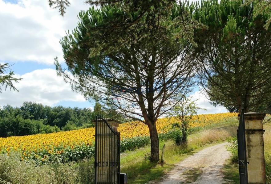 House in Vic-Fezensac, Occitania, France 5 - 16480245