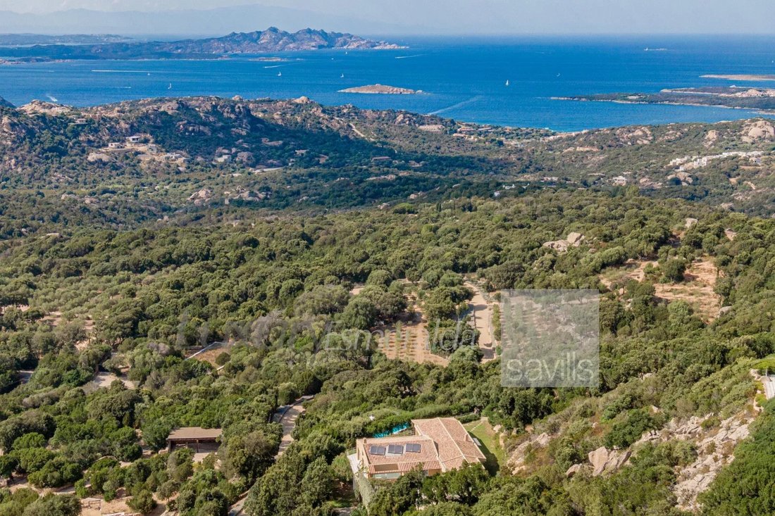 Villa in Liscia di Vacca, Arzachena, Italy 3 - 16479128