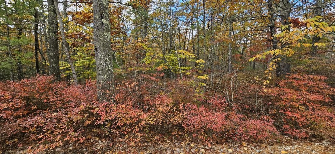 Land in South Berwick, Maine, United States 4 - 16488942