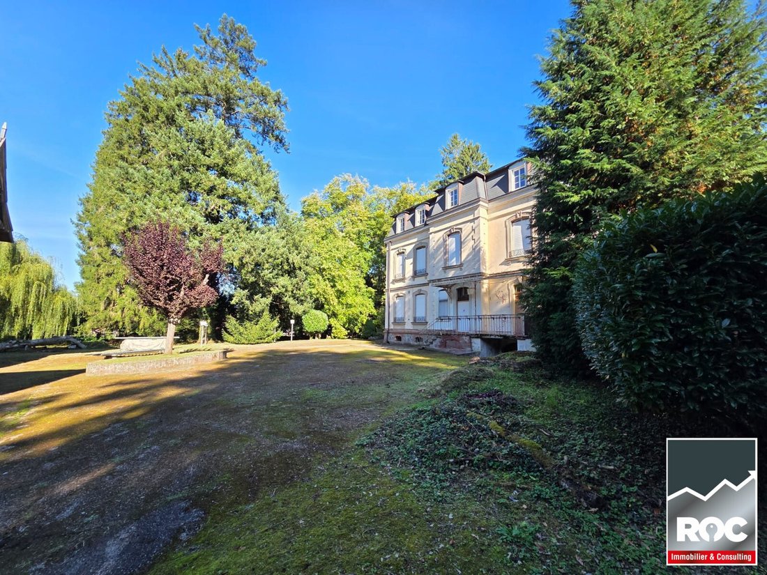 Soultzbach-les-Bains, Grand Est, France 5 - 16491335