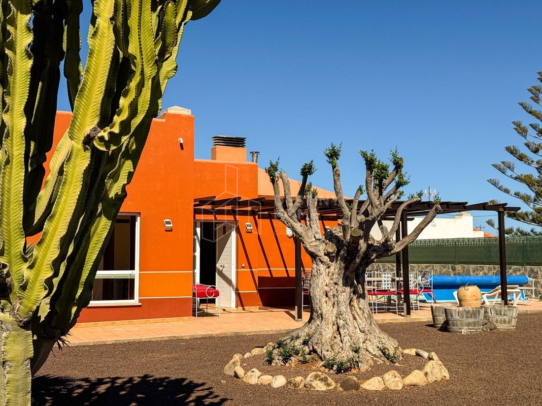 Villa in La Oliva, Canary Islands, Spain 3 - 16486996