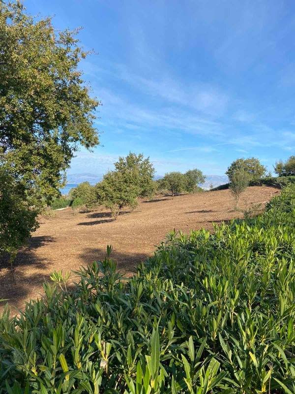 Land in Corfu, Peloponnese, Western Greece and the Ionian, Greece 2 - 14603128