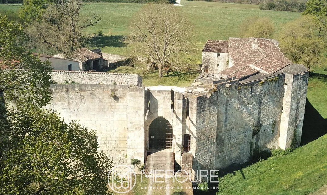Castle for Sale in Saintes, Nouvelle-Aquitaine, France