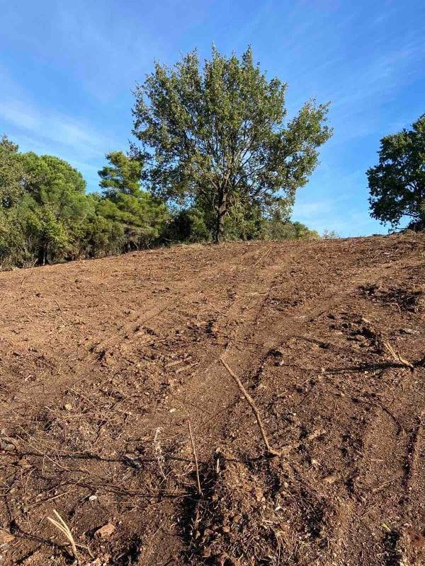 Land in Corfu, Peloponnese, Western Greece and the Ionian, Greece 4 - 14603128