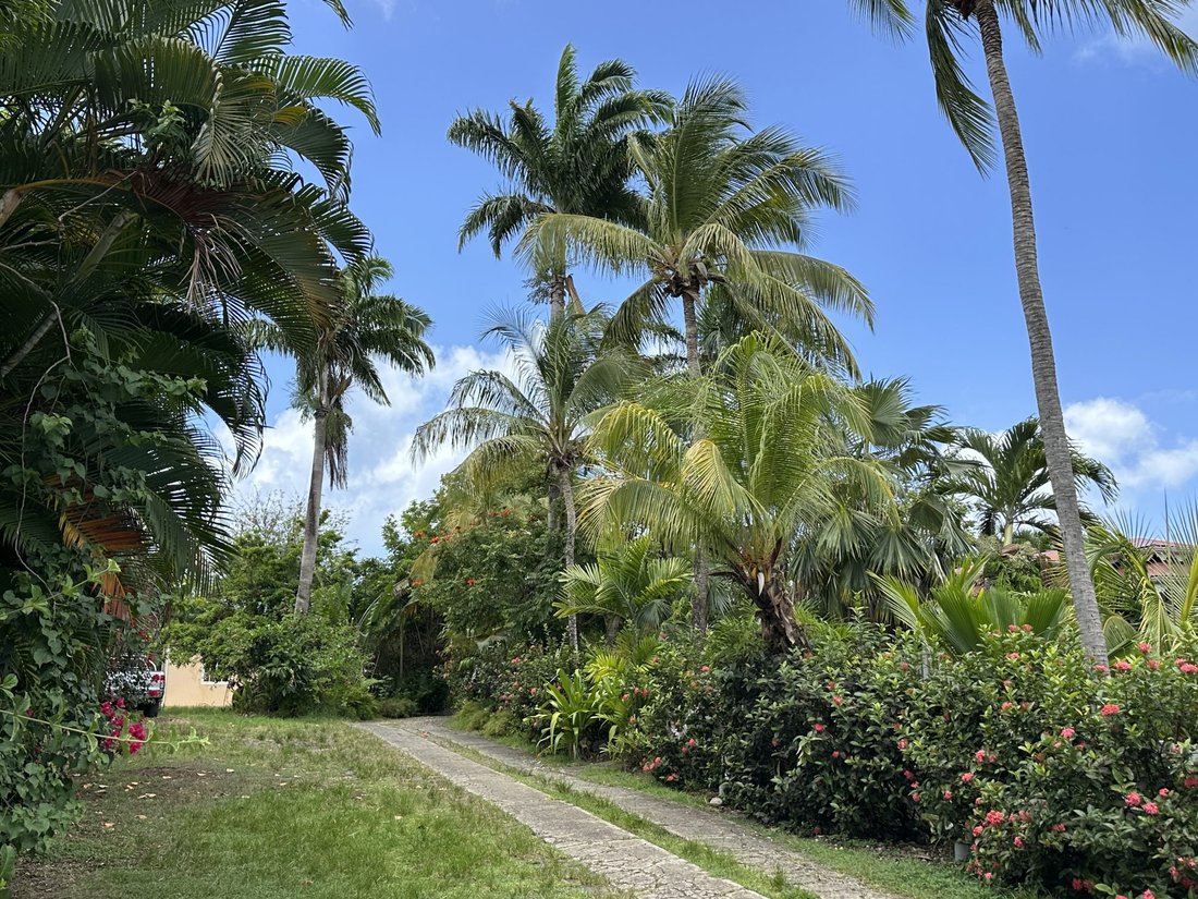 Apartment in Saint-François, Grande-Terre, Guadeloupe 1 - 16491019