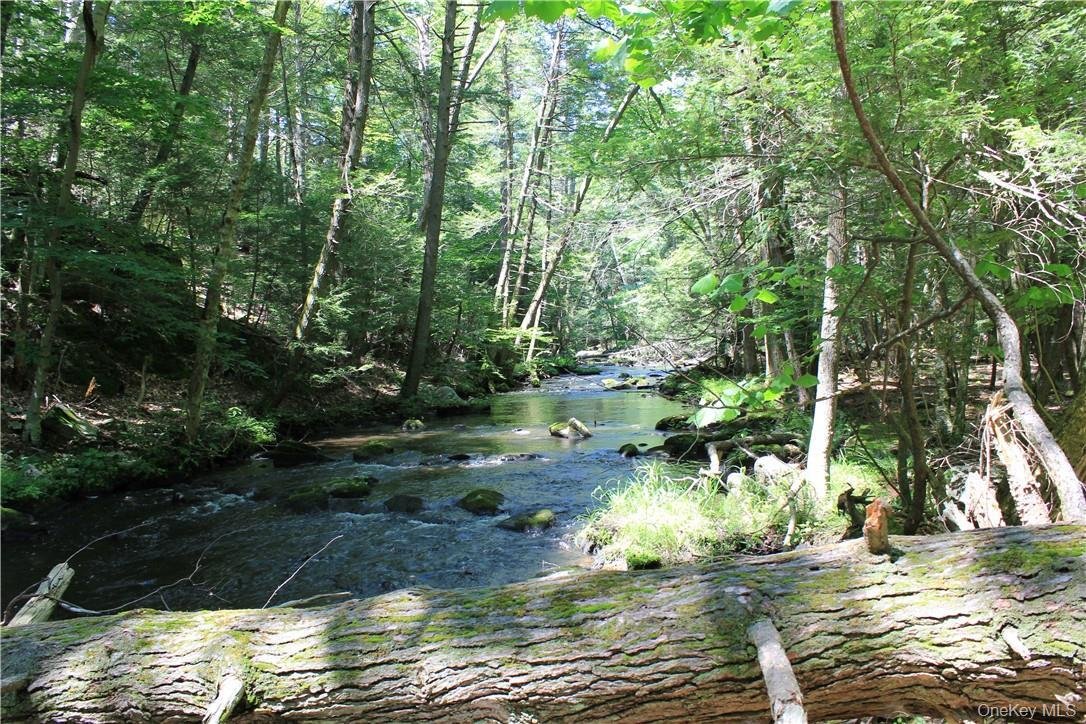 Land in Pound Ridge, New York, United States 3 - 14169815