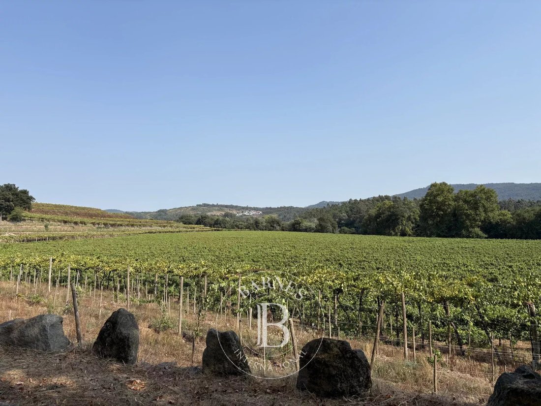 Farm Ranch in Manhente, Braga, Portugal 3 - 16485935