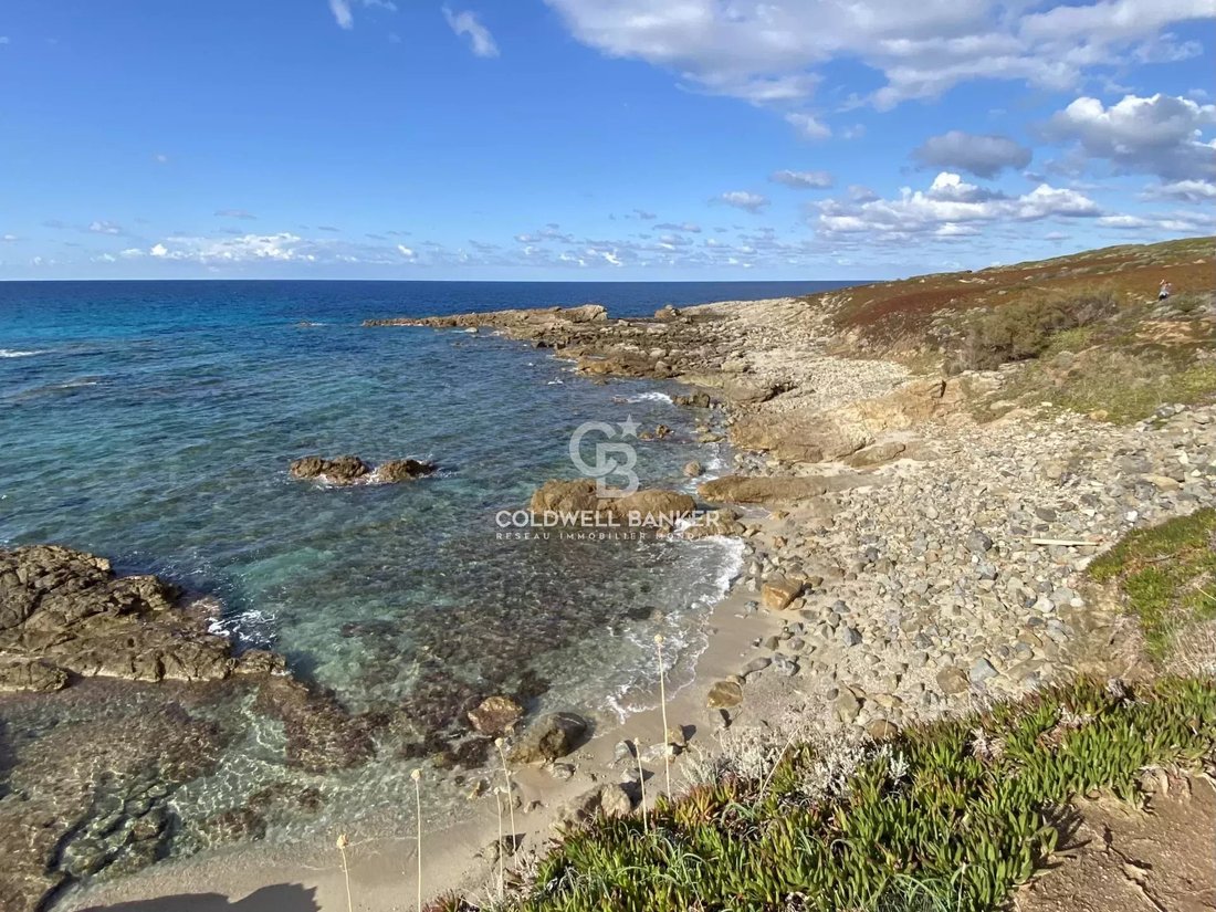 Villa in Corbara, Corsica, France 4 - 16485558