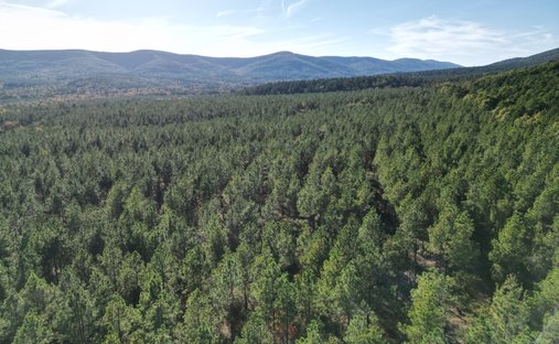 Land in Mena, Arkansas, United States 1