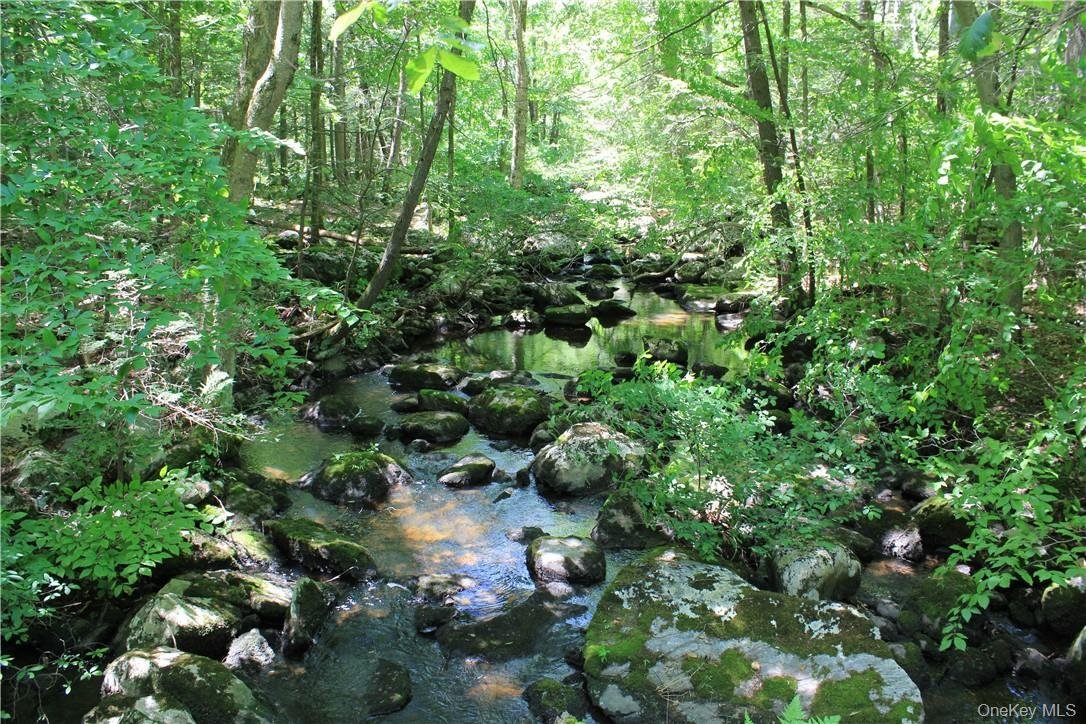 Land in Pound Ridge, New York, United States 5 - 14169815