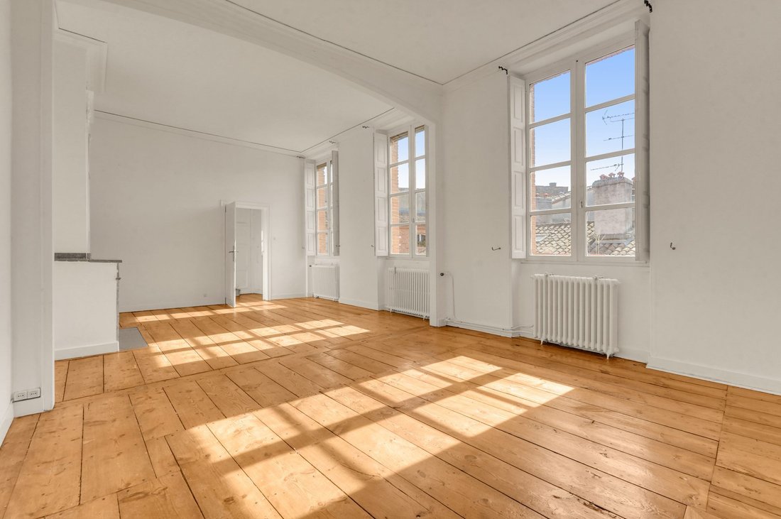 Apartment in Capitole, Toulouse, France 2 - 16490856