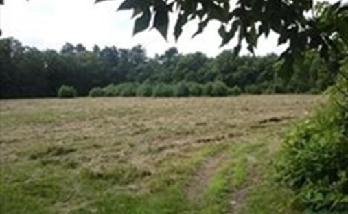 Land in Middleborough, Massachusetts, United States 1