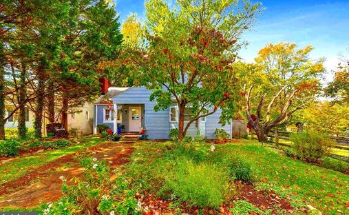 Haus in Middleburg, Virginia, Vereinigte Staaten 1