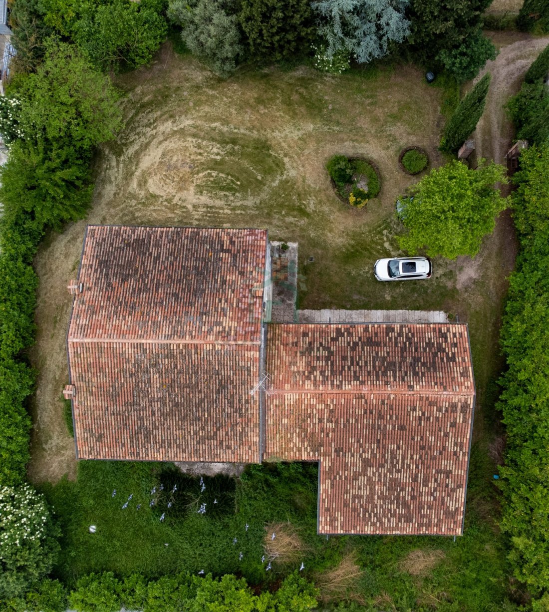 Villa in Buttapietra, Veneto, Italy 4 - 16493165