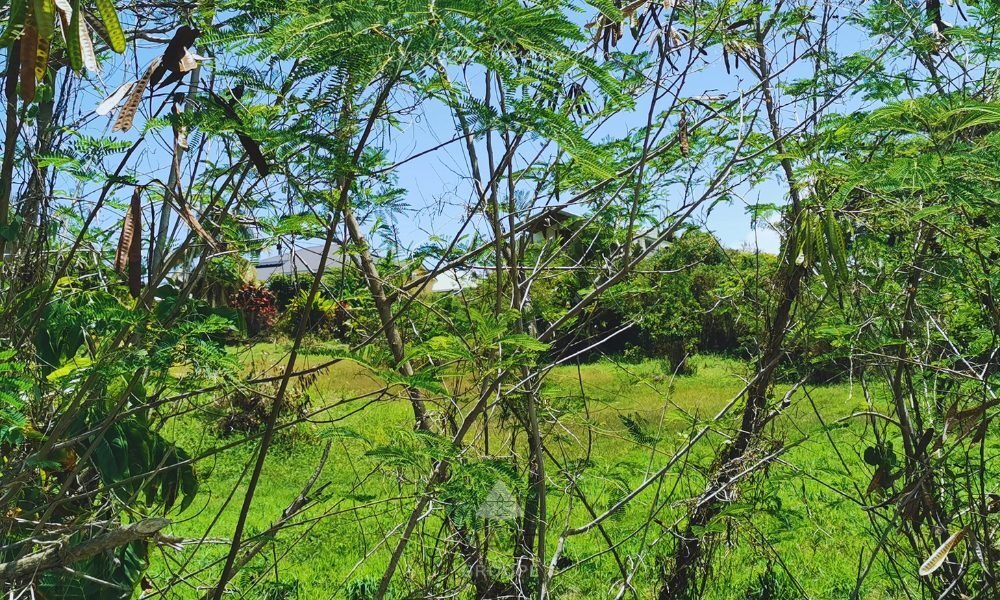 Land in Le Moule, Grande-Terre, Guadeloupe 1 - 16490690