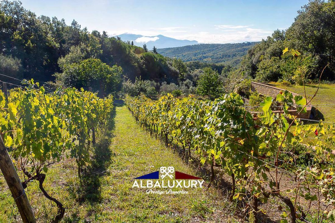 Villa in Montalcino, Tuscany, Italy 3 - 16300130