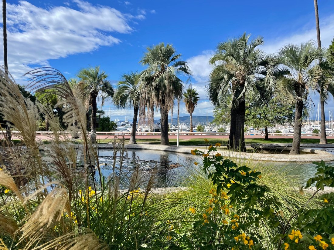 Apartment in Saint Nicolas, Cannes, France 1 - 16491608