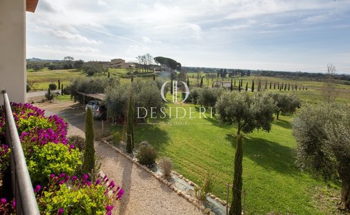 Azienda agricola a Capalbio, Toscana, Italia 1