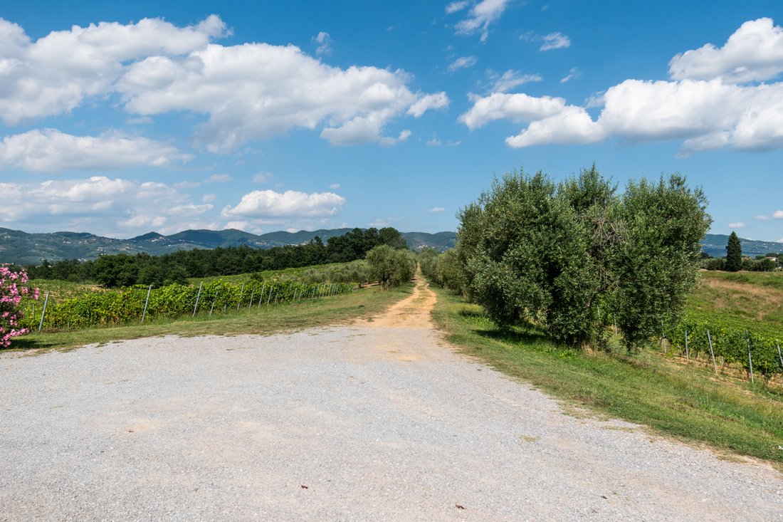 Country House in Center, Cerreto Guidi, Tuscany 3 - 16496043