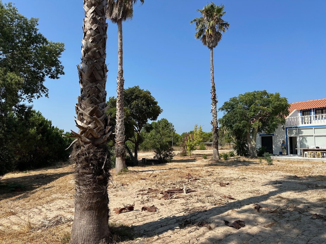 Land in Comporta, Setubal, Portugal 3 - 16496366
