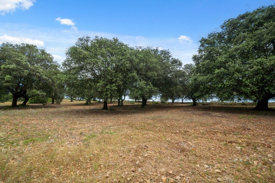 Finca in Maria de la Salut, Balearic Islands, Spain 2 - 16496527