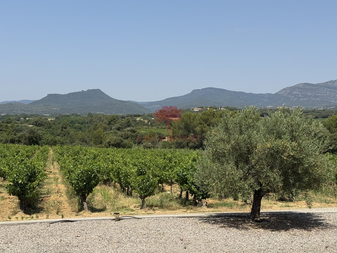 Estate in Montpeyroux, Occitania, France 2 - 16498061