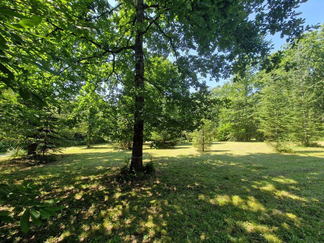 Estate in Le Bugue, Nouvelle-Aquitaine, France 4 - 16497867