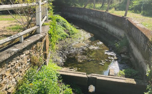 Castle for Sale in Cérilly, Auvergne-Rhône-Alpes, France