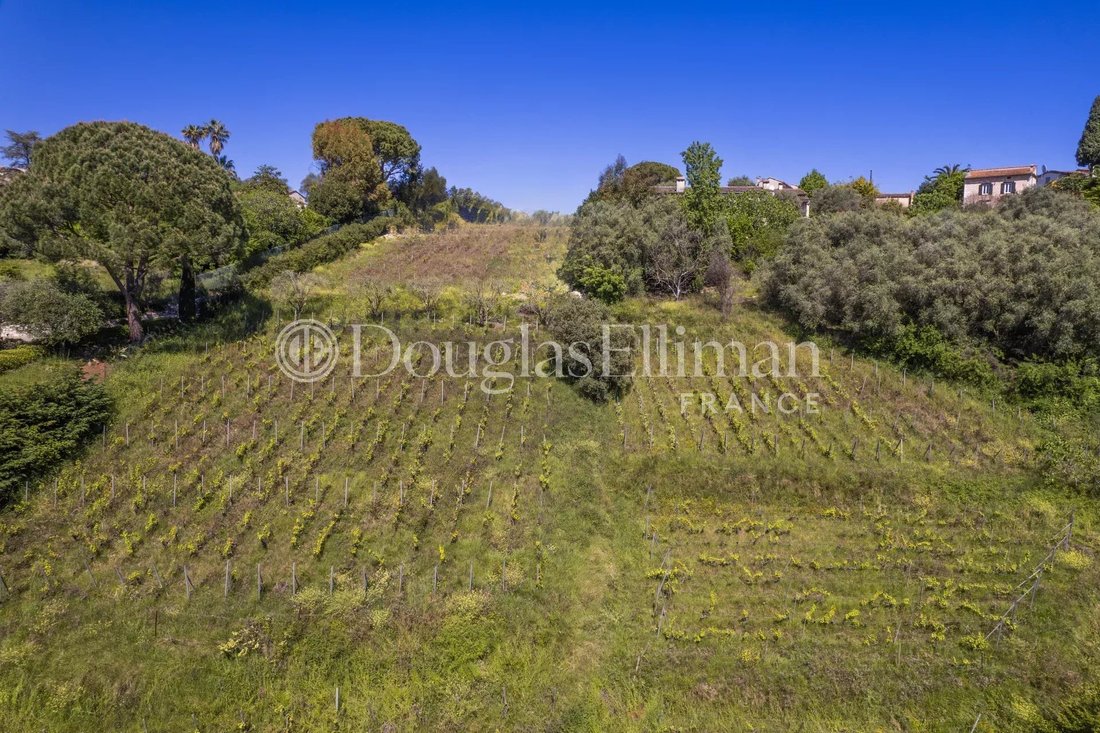 Villa in Saint-Paul-de-Vence, Provence-Alpes-Côte d'Azur, France 4 - 15606950