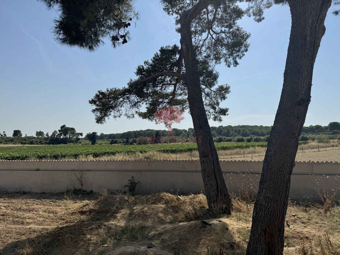 Estate in Saint-Chinian, Occitania, France 2 - 16498406