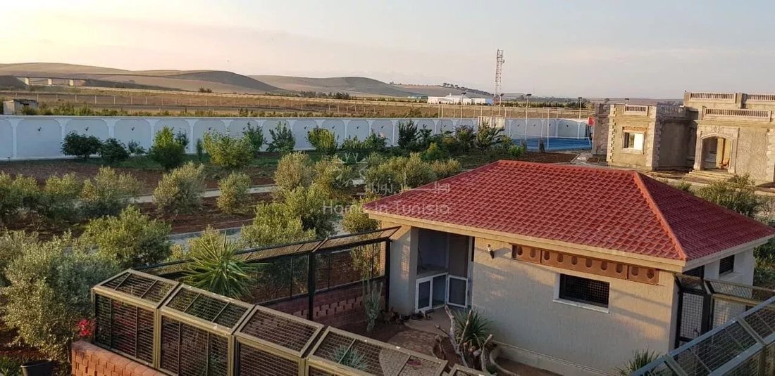 Farm Ranch in Sidi Thabet, Ariana, Tunisia 3 - 12145046
