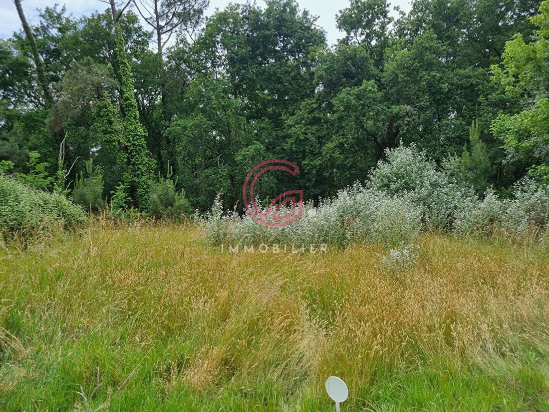 Land in Sanguinet, Nouvelle-Aquitaine, France 1 - 16497344