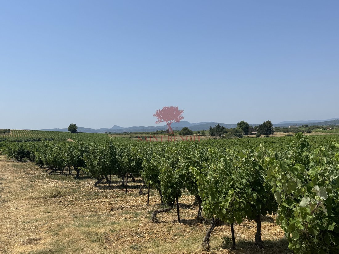 Estate in Montpeyroux, Occitania, France 4 - 16498061