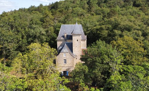 Castle in Montignac-Lascaux, Nouvelle-Aquitaine, France 1