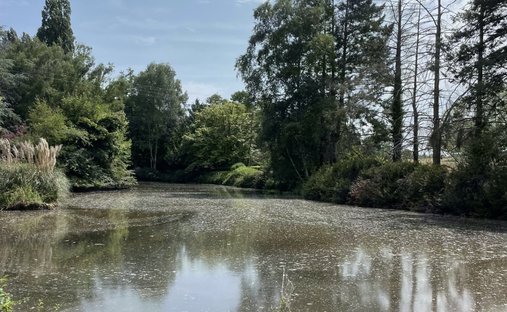 Castle for Sale in Cérilly, Auvergne-Rhône-Alpes, France