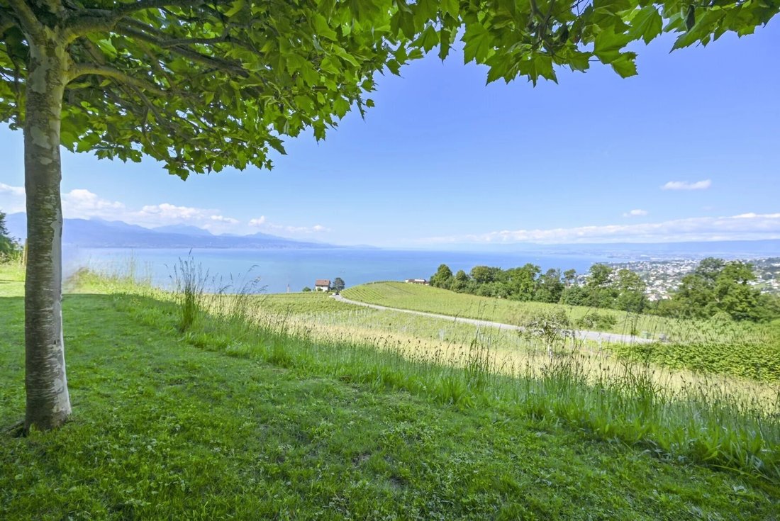 Haus in Lutry, Waadt, Schweiz 4 - 16501605