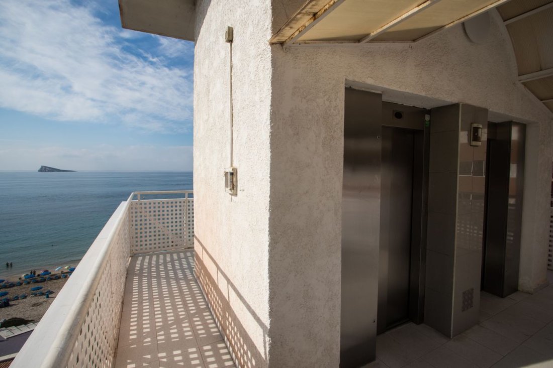 Apartment in Benidorm, Valencian Community, Spain 4 - 16500950