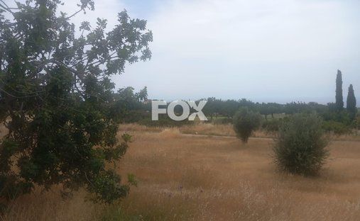 Terreno en Kouklia, Distrito de Pafos, Chipre 1