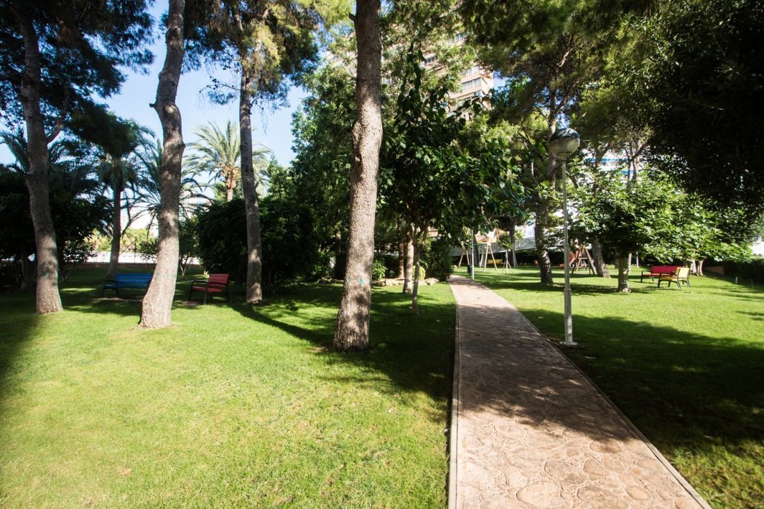 Apartment in Benidorm, Valencian Community, Spain 2 - 16500950