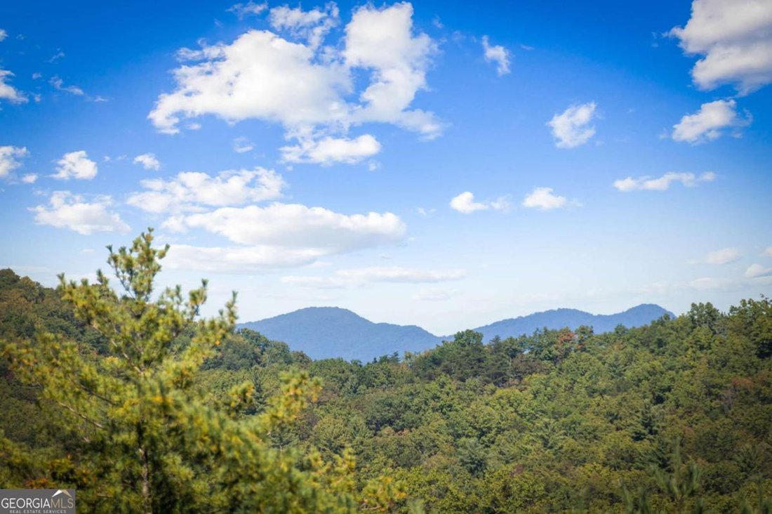 House in Blue Ridge, Georgia, United States 3 - 16499641