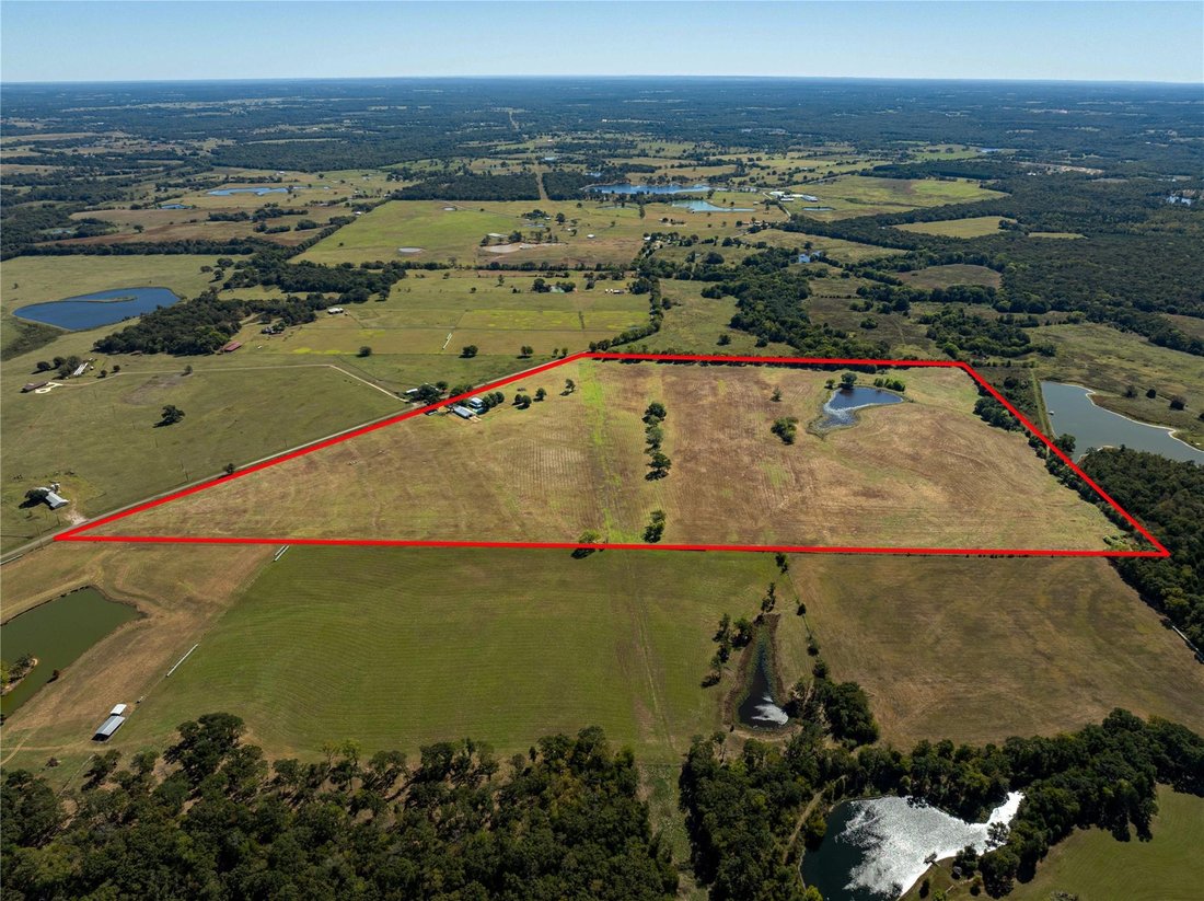 Farm Ranch in Eustace, Texas, United States 2 - 16501097