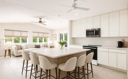 House in Miami, Florida, United States 1