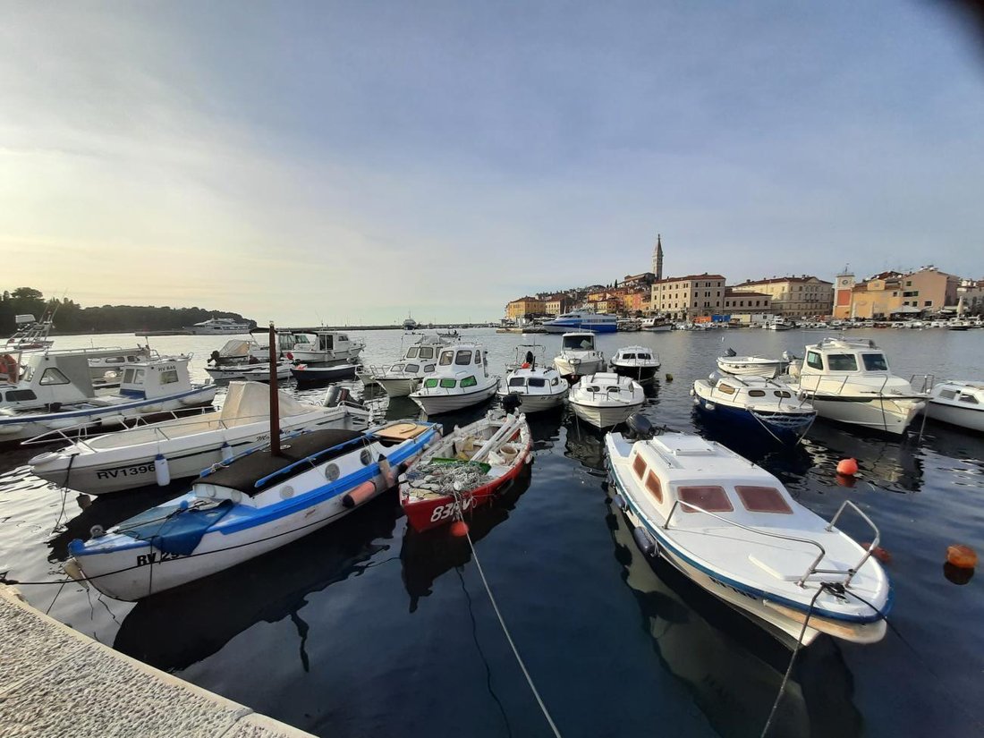 Rovinj, Istria County, Croatia 1 - 16502723