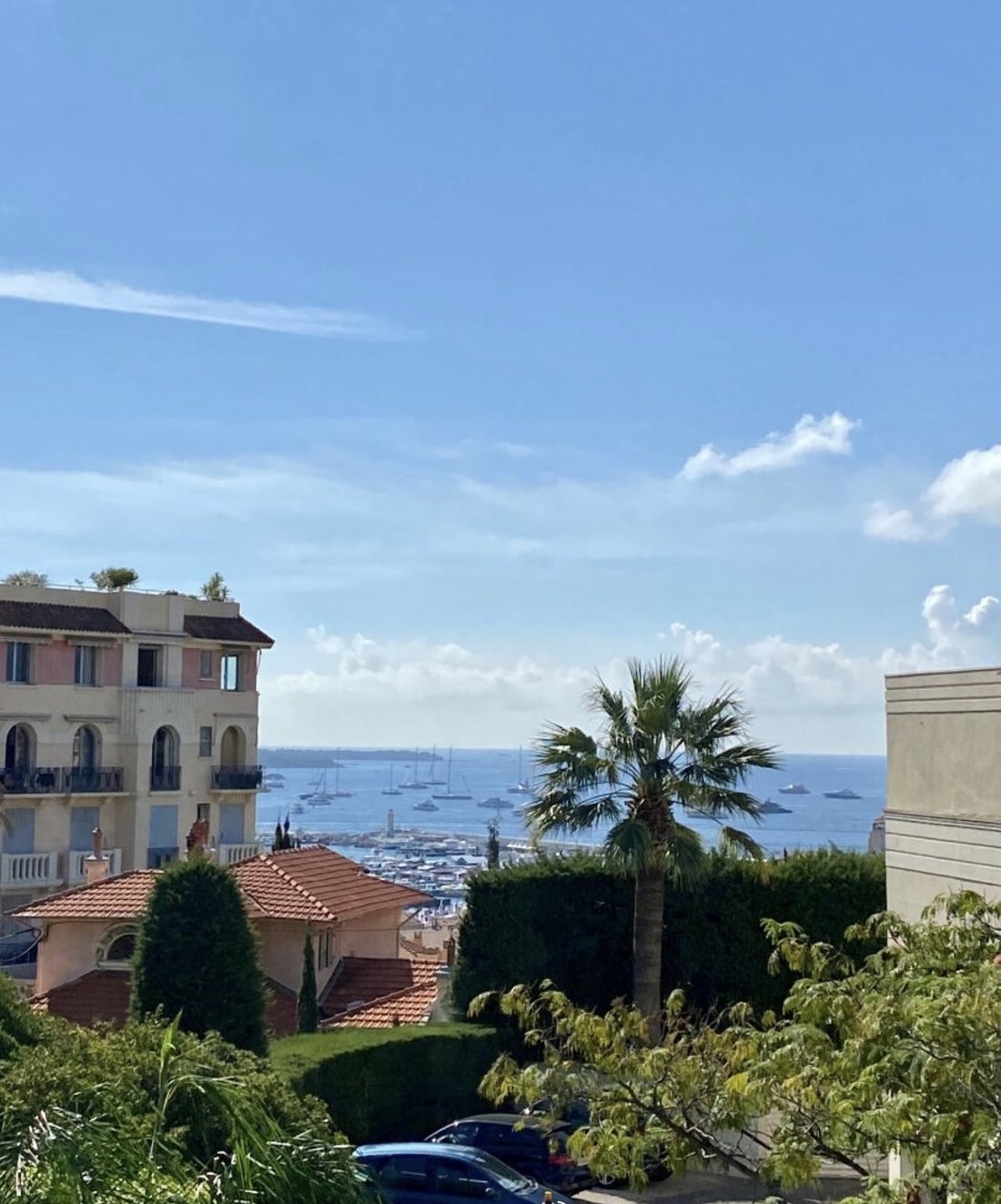 House in Cannes, Provence-Alpes-Côte d'Azur, France 4 - 16502094