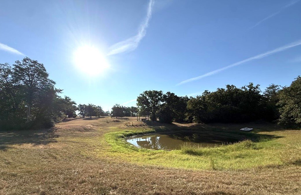 Farm Ranch in Milano, Texas, United States 4 - 16504323