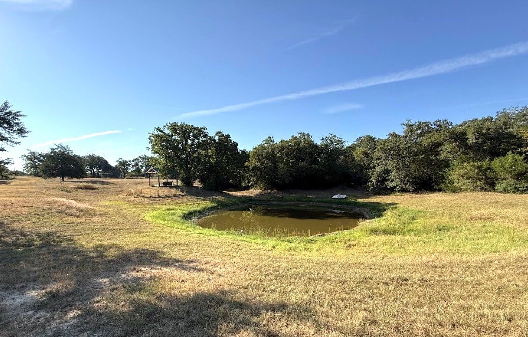 Farm Ranch in Milano, Texas, United States 3 - 16504323