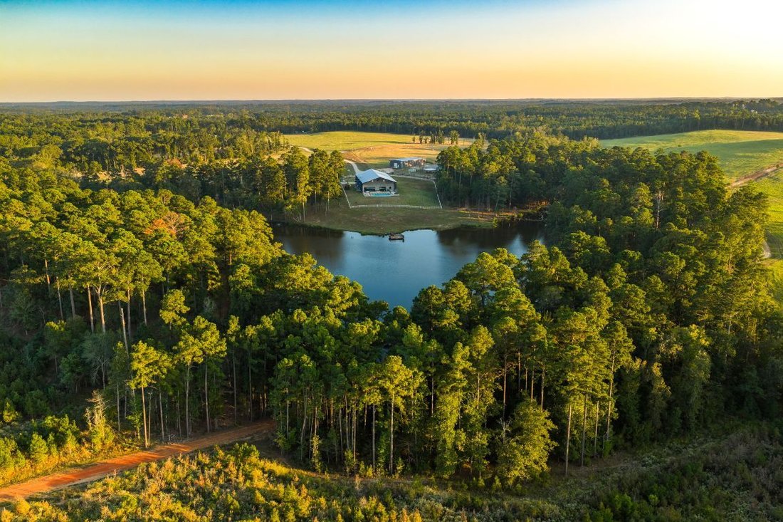 Farm Ranch in Winona, Texas, United States 1 - 16500457